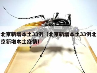 北京新增本土33例（北京新增本土33例北京新增本土疫情）