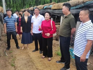 优德官方网站㊙️✅ 🏒优德集团简介