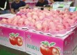 上海唯一水果店，专营苹果，最贵售价293元
